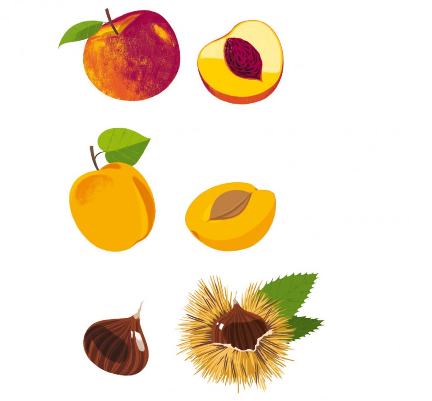 illustration3-sebastien-pelon-danival-fruits2.jpg - S&#x00E9;bastien&#x20;PELON | Virginie