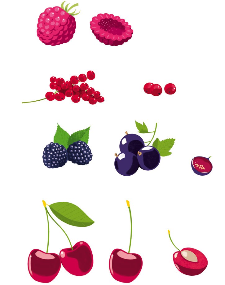 illustration3-sebastien-pelon-danival-fruits3.jpg - S&#x00E9;bastien&#x20;PELON | Virginie