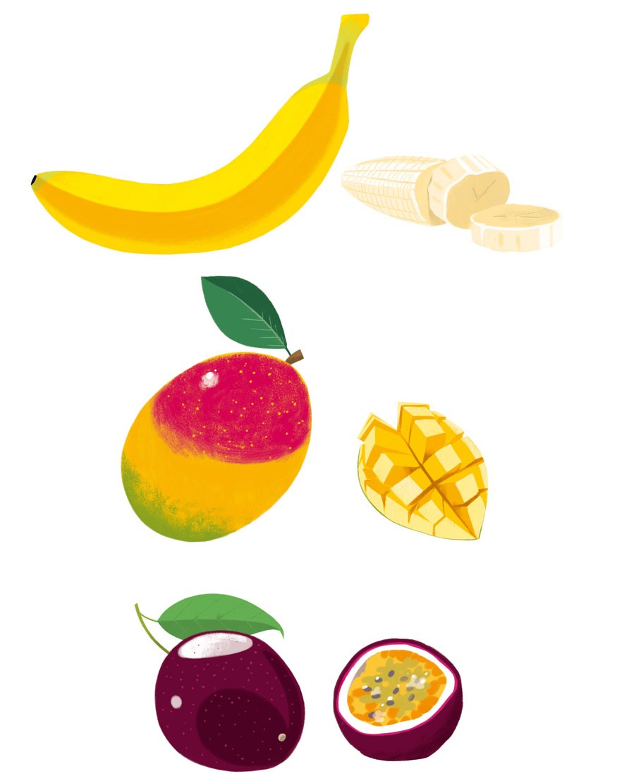 illustration5-sebastien-pelon-danival-fruits6.jpg - S&#x00E9;bastien&#x20;PELON | Virginie