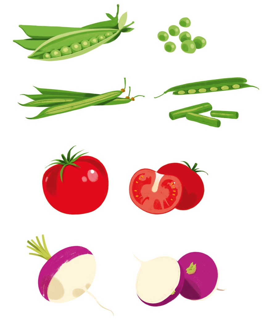 illustration8-sebastien-pelon-danival-legumes2.jpg - S&#x00E9;bastien&#x20;PELON | Virginie