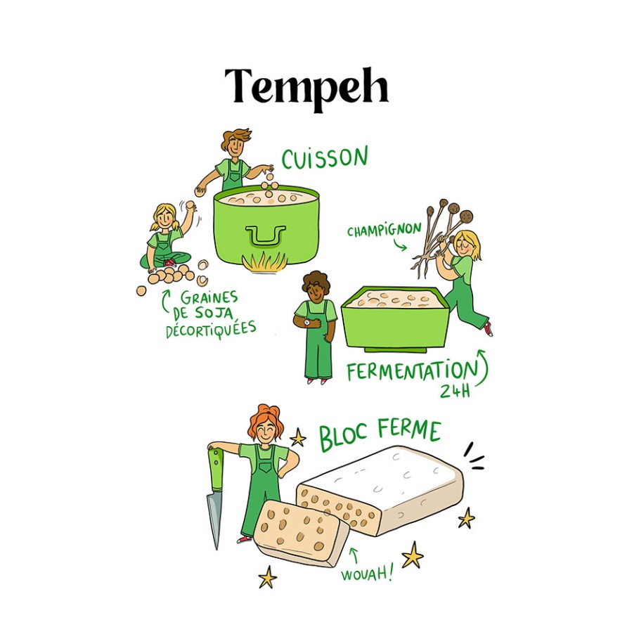 tempeh-roxane-damidot.jpg - Roxane&#x20;DAMIDOT | Virginie