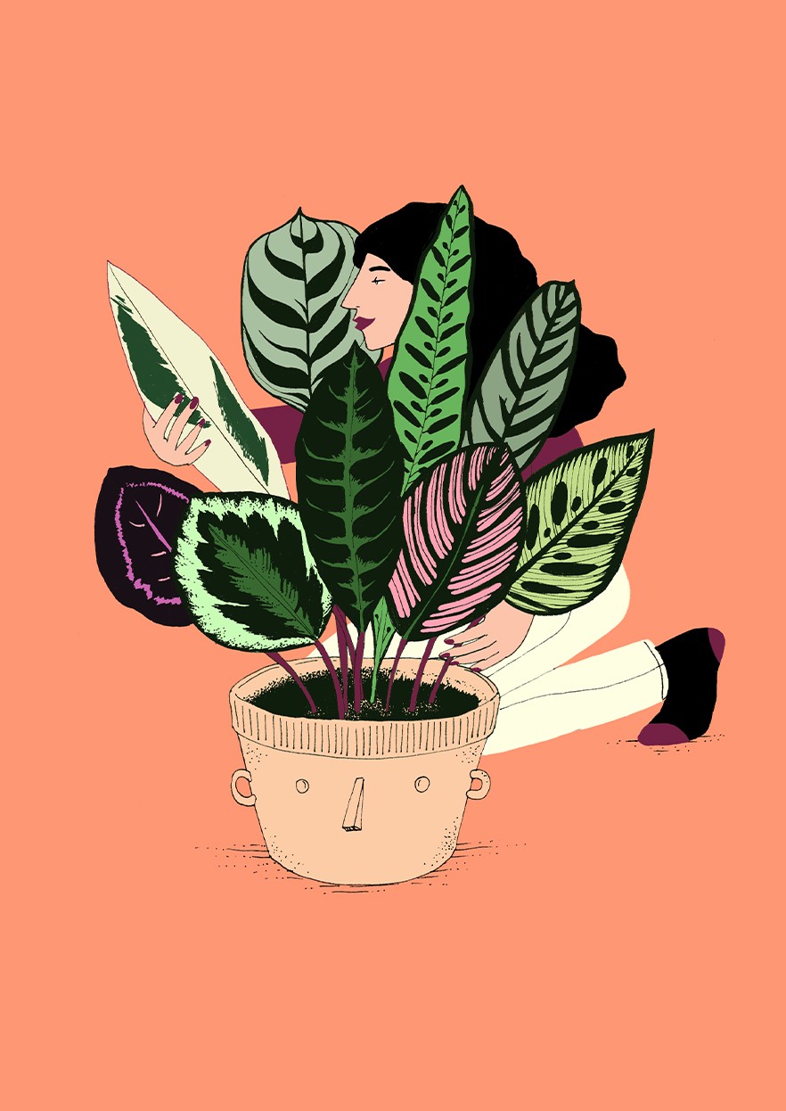 illustration-blandine-pannequin-calatheagirl.jpg - Blandine&#x20;PANNEQUIN | Virginie