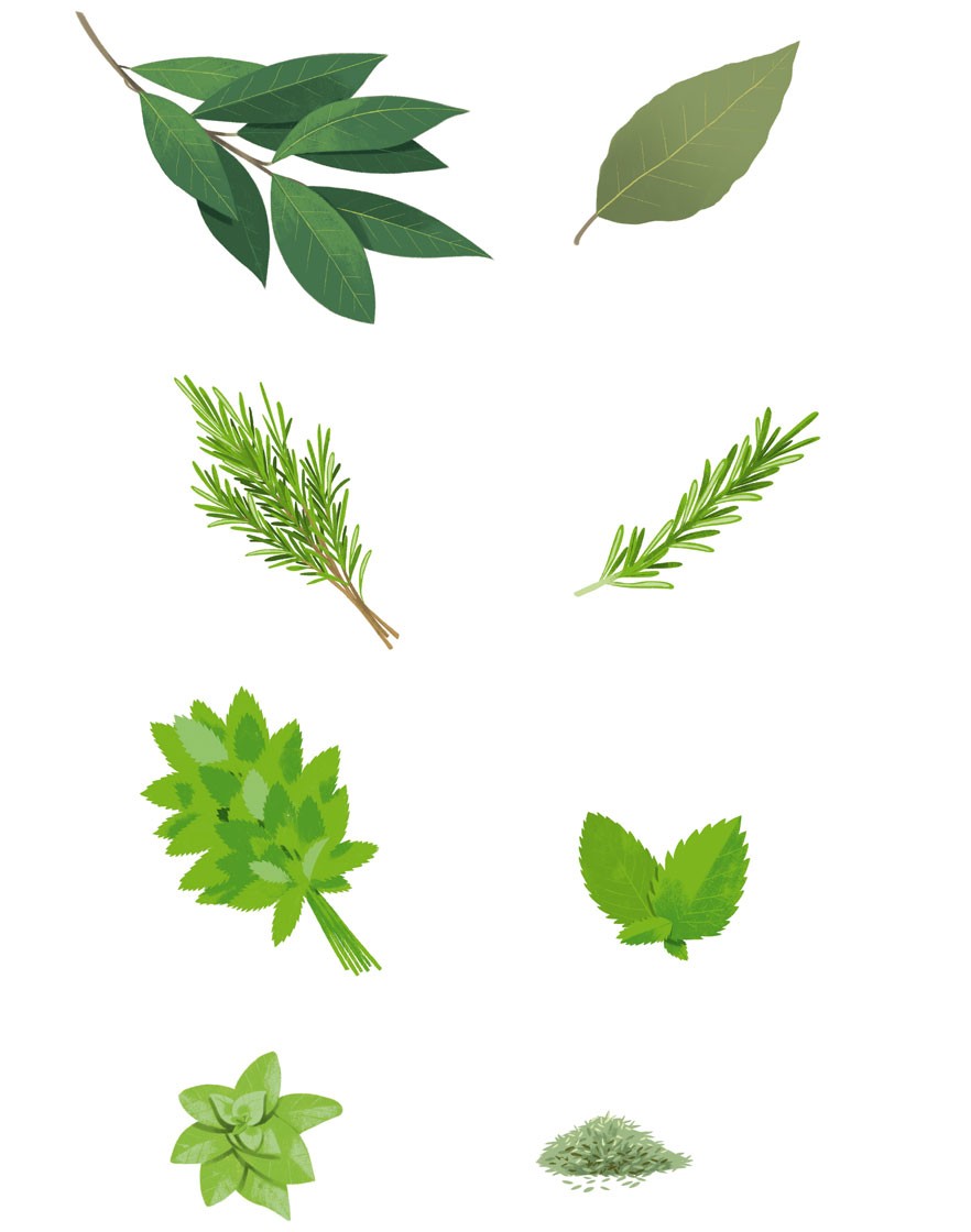 illustration7-sebastien-pelon-danival-herbes.jpg - S&#x00E9;bastien&#x20;PELON | Virginie