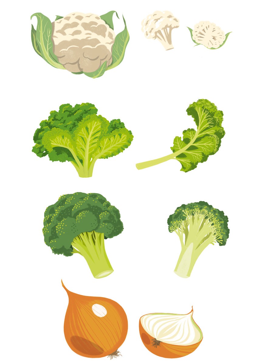 illustration9-sebastien-pelon-danival-legumes3.jpg - S&#x00E9;bastien&#x20;PELON | Virginie